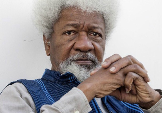 What A Young Nigerian Did To Prof Wole Soyinka